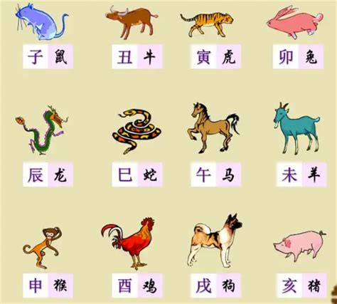 12生肖图|【十二生肖年份】12生肖年齡對照表、今年生肖 